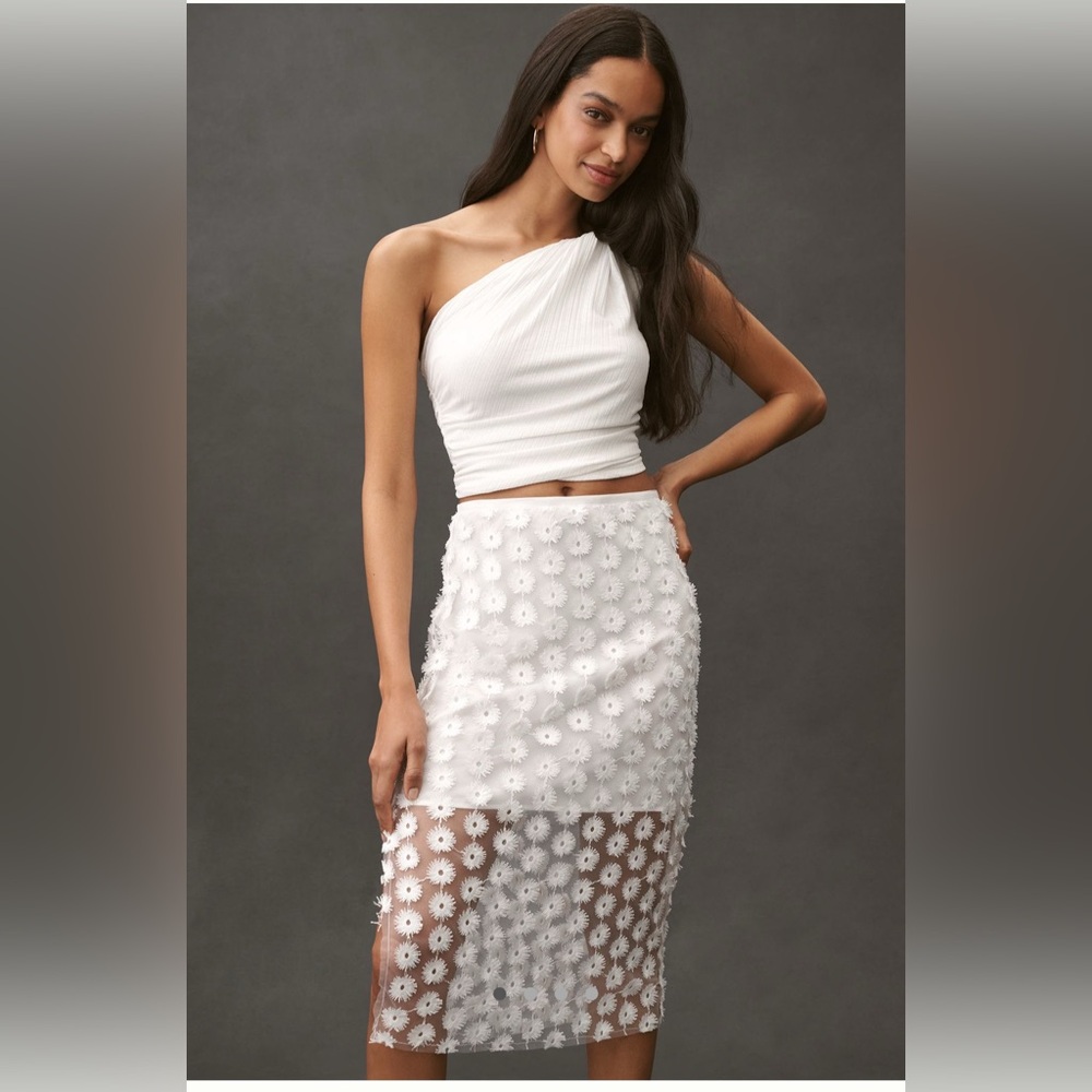 NWT Anthropologie 3D Texture Sheer Slip Midi Skirt - L